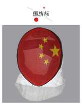 allstar Aosda FIE1600N Cow fixed lining foil face shield Fencing mask Helmet Flag helmet