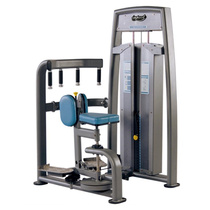 Original Sanfei TH9929 rotating body torsion waist machine commercial fitness equipment gym professional fitness equipment
