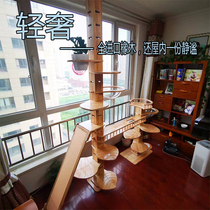 All solid wood Tongtianzhu imported oak board space capsule cat jumping platform cat nest is a solid climbing frame