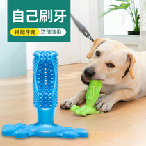 Dogs toys resistant to bite puppies Labrador Large dogs in addition to mouth smells Tooth Cleaning Teeth Stick Puppies Toothbrushes Dog Grindle