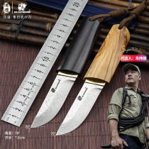 Handao Falcon Japanese-style Damascus Steel Collection Knife Outdoor Straight Knife Fruit Knife