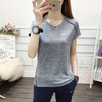 Sports t-shirt womens loose quick-drying short-sleeved top breathable elastic ice silk mountaineering morning exercise running suit quick-drying clothes