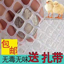 Anti-cat jumping window Divine Instrumental Raising Cat Mitten Window Mesh Protective seal Balcony Protective balcony anti-fall protective net