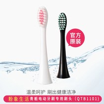 Gardenia Green Garden electric toothbrush head compatible with QTB1101 original replacement brush head