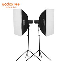 Shenniu SL200W two-lamp strobe studio photography light LED no suit always bright sun light children photography constant light