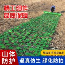 Green leaf barbed wire fence mountain Greening border slope Net mine re-green plant artificial climbing Tiger soil slope cover climbing net