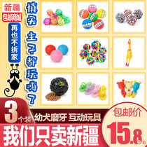 Xinjiang dog toys resistant to bite teeth grinding sticks than bear cocky puppies Tedi pet supplies boring artifact