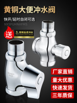 Flush toilet valve Hand press type flush switch valve urinal toilet valve squatting toilet quick Open delay valve