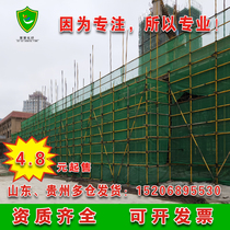 Construction site construction safety net national standard flame retardant dense mesh netting anti-dust lid earth green net pocket network Shandong Guiyang