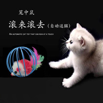 Pet cat toy cage mouse cat toy skin mouse cat catch ball toy interactive self-Hi English short cat