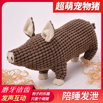 Dog toys bite-resistant plush voice venting during love period Keji Teddy golden hair sleeping pig pet supplies