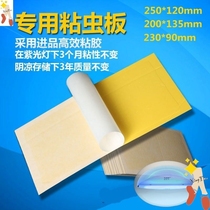 Paper special armyworm mosquito control paper sticky sticker fly paper mosquito catching sticky board fly control fly fly control