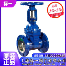 Shanghai Biaoyi Valve Factory Z41X-16Q fire tap water bright rod flange type soft seal gate valve DN150200