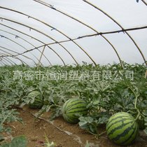 New watermelon special shed film Shandong produces PE film greenhouse film plastic film agricultural film