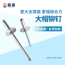 Big cap blind rivet aluminum alloy galvanized Van car lengthened and thickened large cover stainless steel Big Head pull Willow nail