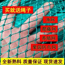 Fishing net breeding net chicken net poultry fence net Orchard bird net nylon net protective net Skynet vegetable garden isolation