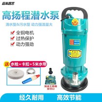Two-phase submersible pump Household 220v water pump Agricultural pump well with 370w550w750w watering pump