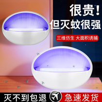 Add Baokang Sticky Trap Mosquito Killers Fly Lamp Restaurant Hotel with a shop with a hanging wall to catch the light of the Fly God