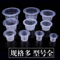 Bar plant value cotton rope solid glass hydroponics send flowers soilless cultivation flower pot basket fixed vase planting green