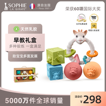 Sophie Giraffe Early Giraffe Giraft Kit in France Sophie LaGirafe Baby Grinding Toys