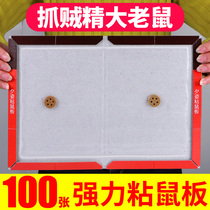Mouse plate strong household with a thickening and grab rat stained rat rat rat rat rat rat rat