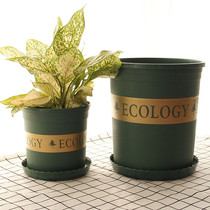 1 gallon plastic for rose seedlings