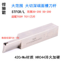 Shesba CNC large-scale large-scale deep-cut end face arc seismic grooving tool bar STFCR L2020 2525
