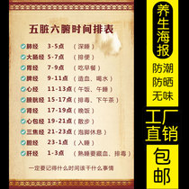 Five zang-organs and six fu-organs chart time schedule back reflection wall chart human meridian acupoints map traditional Chinese medicine health preservation decorative painting
