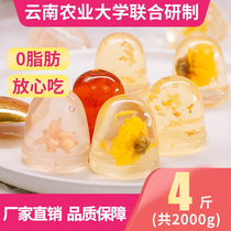 Yunnan Agricultural University Colorful Cloud Flower Jelly Osmanthus Fruit Pudding Chinese Academy of Sciences Snacks Agricultural Sciences Jelly