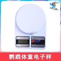 Parrot bird reptile climbing pet tortoise snake rabbit chinchillo Xuanfeng weighing weight electronic scale scale 1g-5kg