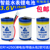 LISUN Lixing Lithium Battery ER14250 3 6v KTS Delta Programmer IoT PLC 1 2AA
