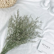 Lover grass Yunnan dried flower bouquet diy flower arrangement hipster home decoration real flower hay natural Sky star