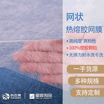 Mesh Hot Melt Adhesive mesh film without sewing PA material non-woven fabric for clothing fabric with Hot Melt Adhesive lining
