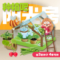 CALLPlay Cotta Ducks Cultivation Bar Yangguang Room Observation Window Children Toys Elementary School Students Science Experiments Small Potted Plants