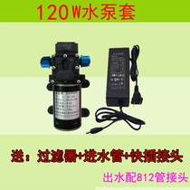 12 V60 100 120W small water pump self-priming booster pump micro pumping high pressure water pump household nozzle wash