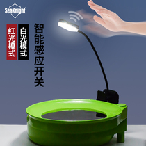 Special fishing bait lamp clamp type bait plate bait lamp fishing night fishing bait lamp fishing gear supplies accessories