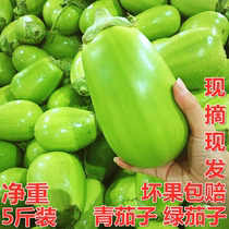 绿皮茄子河南特产青茄子绿茄子新鲜蔬菜带箱5斤现摘现发农家青菜