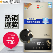 Sakura tree water heater Gas household bath Natural gas liquefied gas gas strong exhaust constant temperature pressurization free water pressure 12