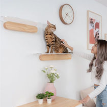 Kiss cat transparent large wall-mounted solid wood cat climbing frame cat scratch board toy cat Villa cat tower combination jumping platform