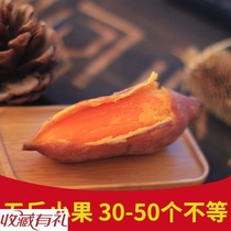 Liuao Sandi is now dug up by farmers to grow fresh red sweet potatoes purple sweet potatoes red sweet potatoes 5 kg of sweet potatoes across the country