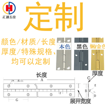 Huitong long hinge 304 stainless steel Black row hinge copper long folding gold hinge chain customization