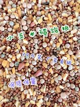 Small corn ballasted pigeon grain 20 jin of crushed corn Pigeon Pigeon Pigeon Pigeon meat pigeon grain 19 provinces