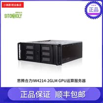 Si Teng Heli IW4214-2GLM GPU computing server