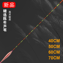 Reed Float Light Carp Drift Black Pit Carp Drift with high sensitivity myopia plus coarse and striking 70CM long buoys