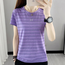 Cross-border outdoor quick-drying clothes womens short sleeve round neck stripes elastic breathable sports loose hiking hiking fast-drying T-shirt