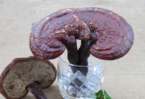 Yunnan semi-wild cultivation dry Ganoderma sessile red Reishi 500 g 1 kg Nyingchi lucidum non-Changbai Mountain Ganoderma lucidum