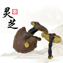 Lanshengtang Tibetan Ganoderma lucidum white spirit lucidum whole flower fragrance strong cut Ganoderma slices grinding Ganoderma powder 250g 180 yuan