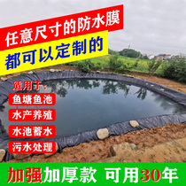 Fish pond anti-seepage film hdpe geomembrane Reservoir Reservoir anti-seepage cloth fish pond waterproof film waterproof film