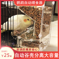 Xuanfeng parrot automatic feeder food box anti-scatter splash-proof bird feeder feed box bird eating box