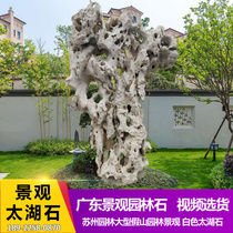四大名石之太湖石造型好白色太湖石园林景观石中式庭院草地点缀石